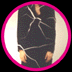 pink crl nowords